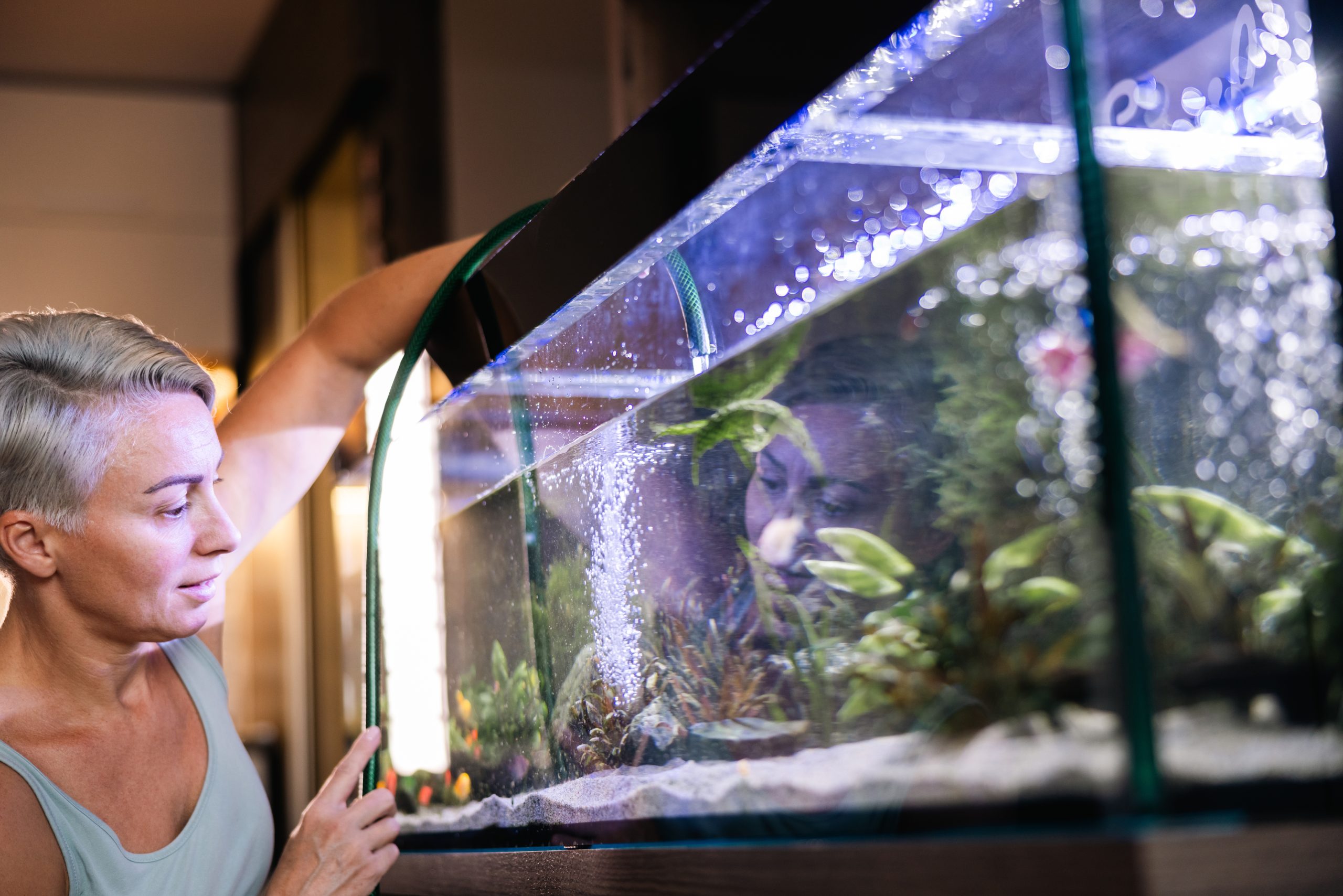 Aquarium Einlaufphase und Wasserfüllung