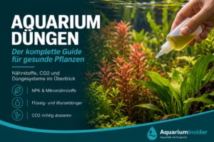 Aquarium düngen – Flüssigdünger wird in ein bepflanztes Aquarium gegeben