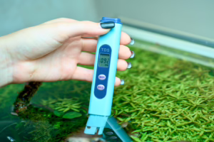 Osmosewasser Aquarium