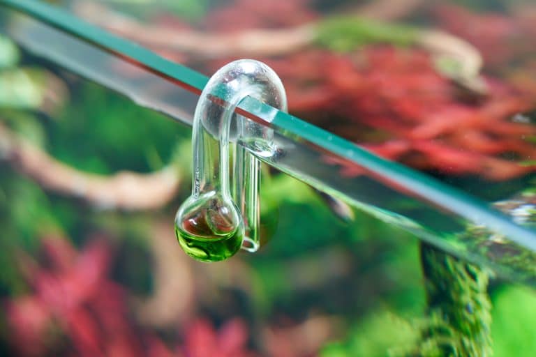 CO2 im Aquarium