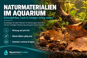 Naturmaterialien im Aquarium – Erlenzäpfchen und Laub im Wasser