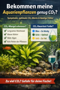 Bekommen meine Pflanzen genug CO₂