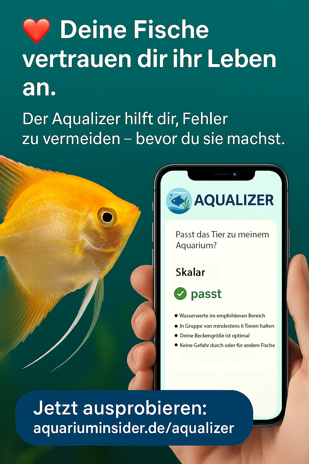 Beispielanalyse im Aqualizer: Besatz-Konflikte und Maßnahmen.