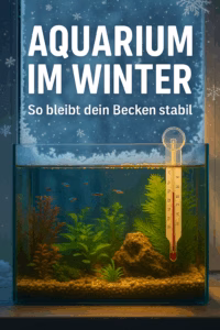 Aquarium im Winter