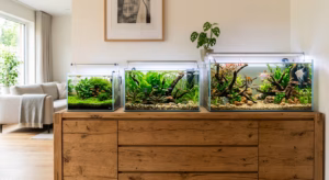 Aquarium Größe