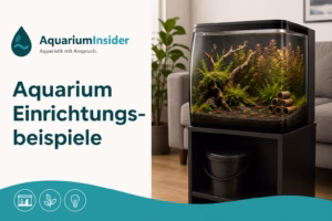 Aquarium Einrichtungsbeispiele für Anfänger: Komplette Setups zum Nachbauen Aquarium Einrichtungsbeispiele