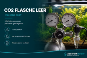 CO2 Flasche leer im Aquarium – Manometer am Druckminderer